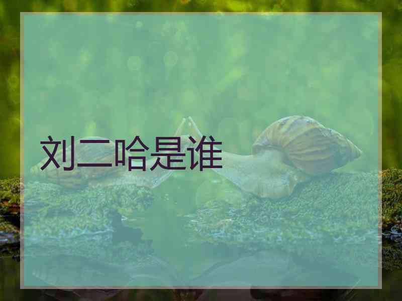 刘二哈是谁