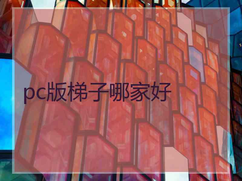 pc版梯子哪家好