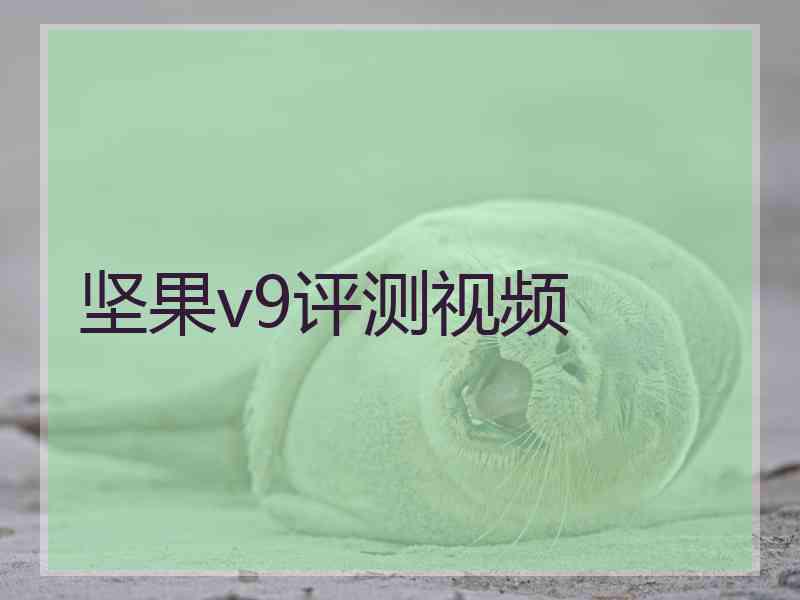 坚果v9评测视频