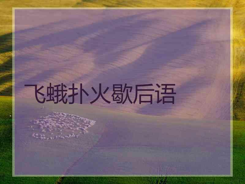 飞蛾扑火歇后语