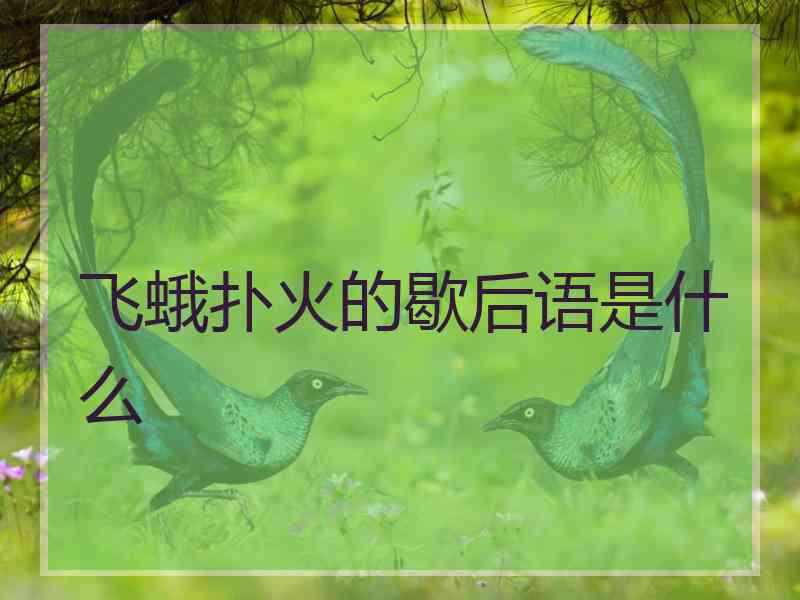 飞蛾扑火的歇后语是什么