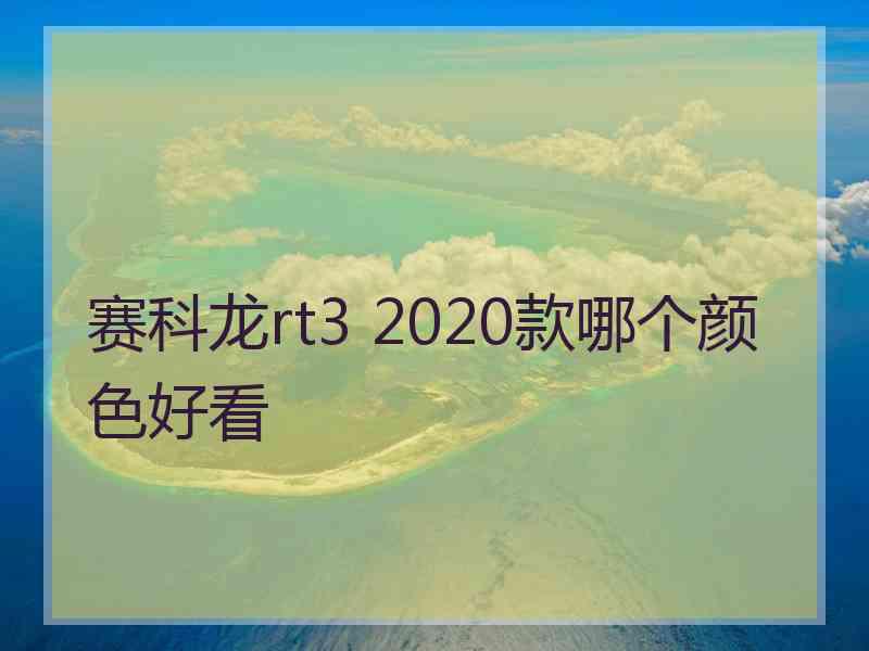 赛科龙rt3 2020款哪个颜色好看