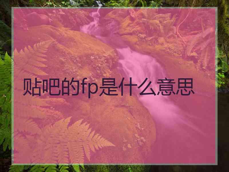 贴吧的fp是什么意思