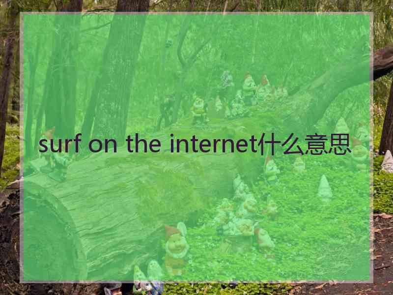 surf on the internet什么意思