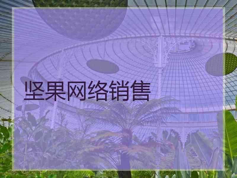 坚果网络销售