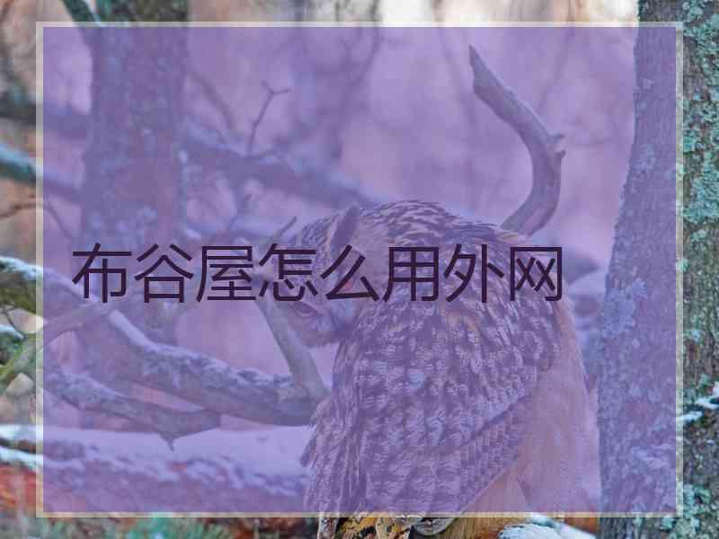布谷屋怎么用外网