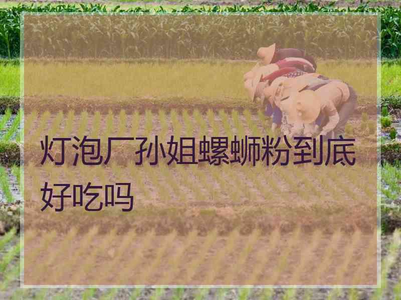 灯泡厂孙姐螺蛳粉到底好吃吗