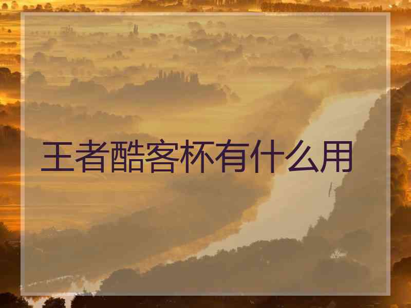 王者酷客杯有什么用