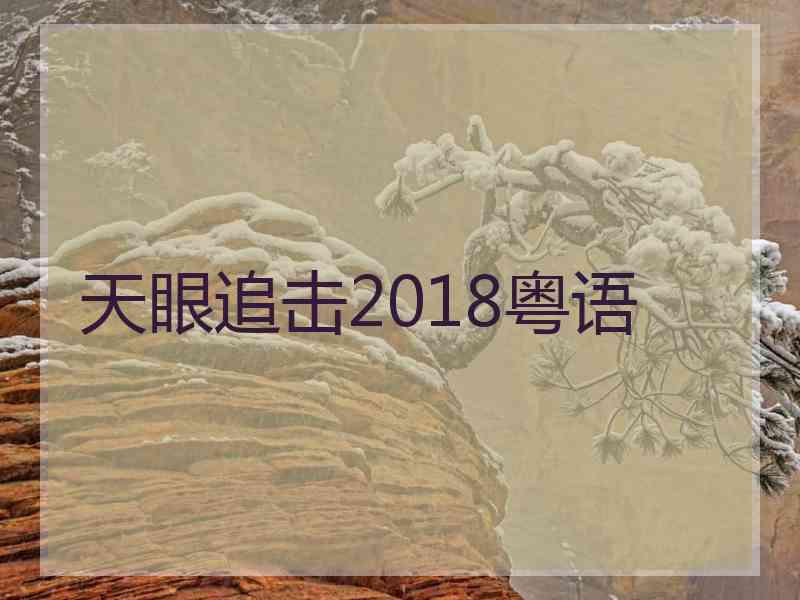天眼追击2018粤语