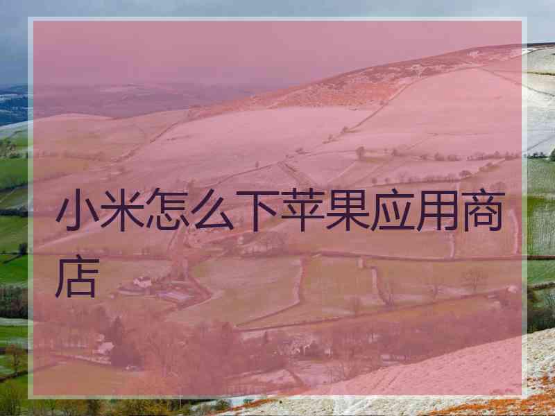 小米怎么下苹果应用商店