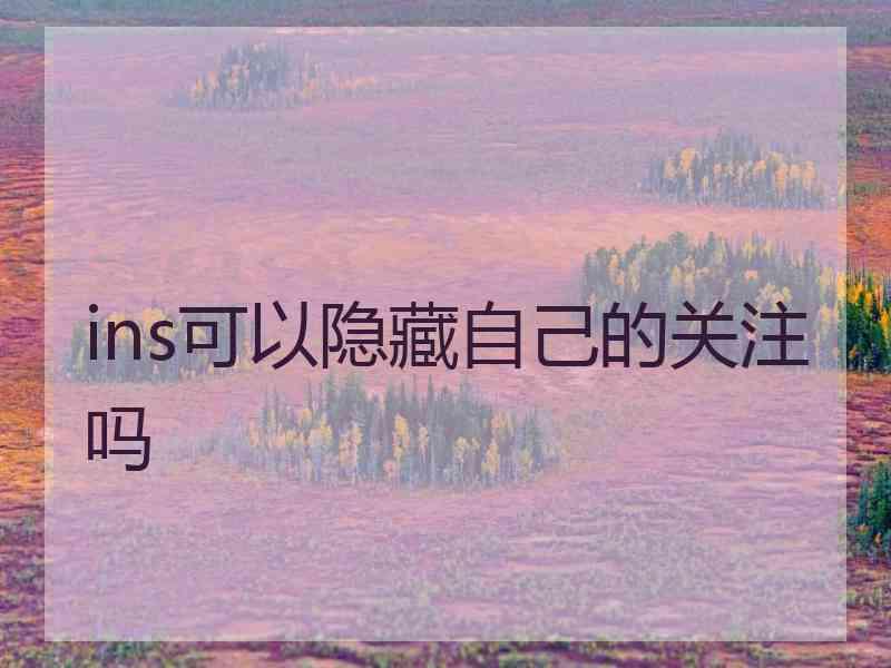ins可以隐藏自己的关注吗