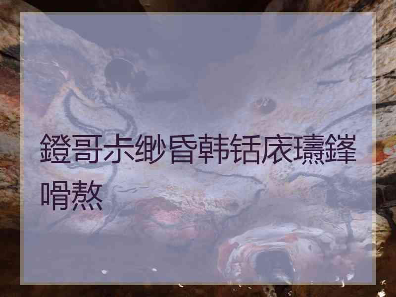 鐙哥尗缈昏韩铦庡瓙鎽嗗熬