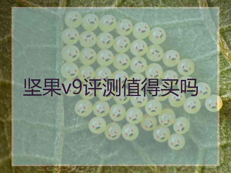 坚果v9评测值得买吗