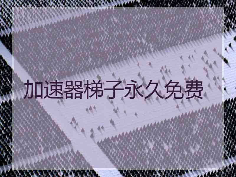 加速器梯子永久免费