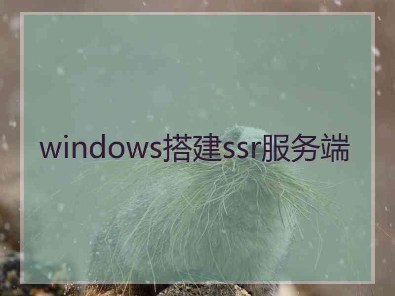windows搭建ssr服务端