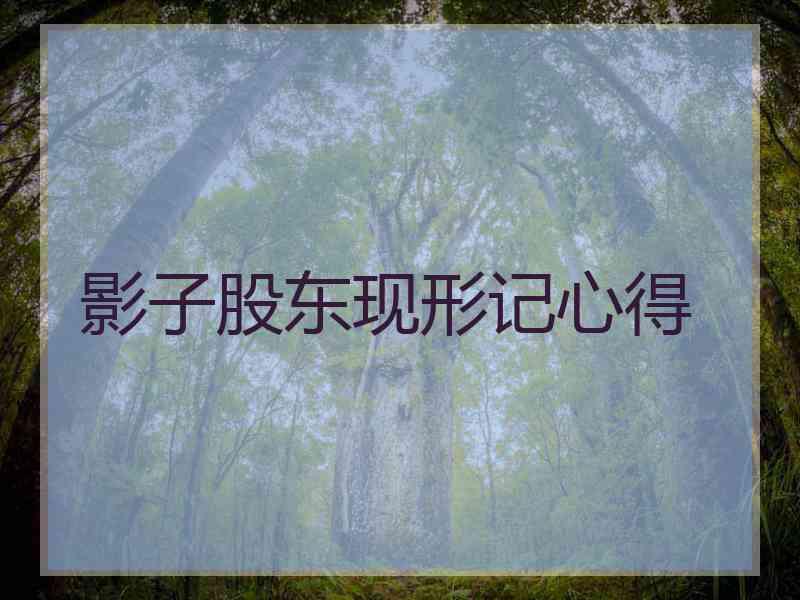 影子股东现形记心得