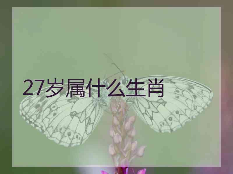 27岁属什么生肖