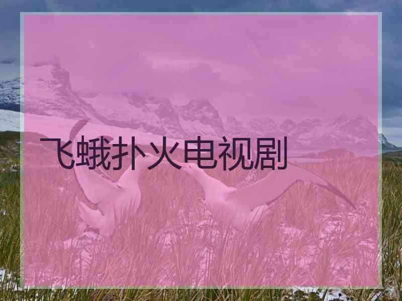 飞蛾扑火电视剧
