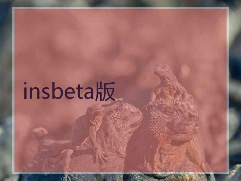 insbeta版