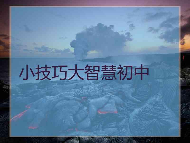 小技巧大智慧初中