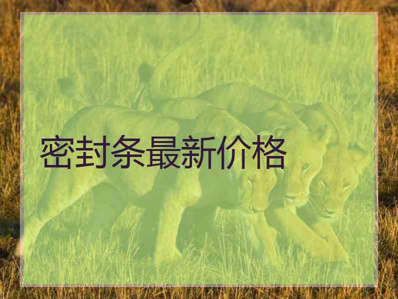 密封条最新价格