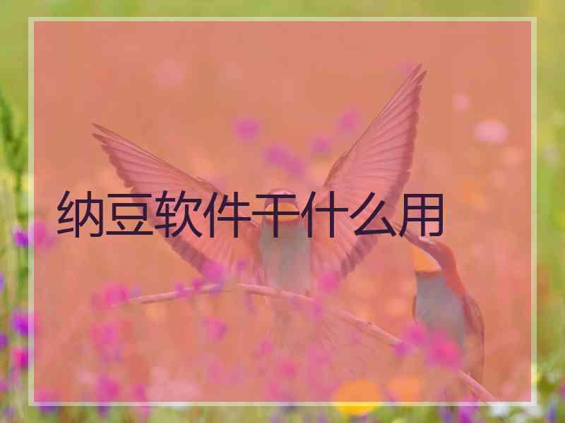 纳豆软件干什么用
