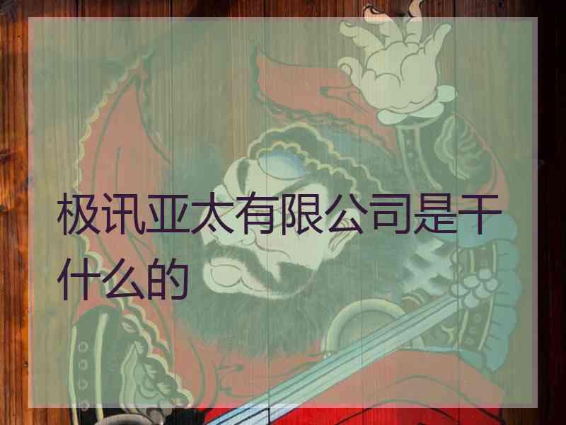 极讯亚太有限公司是干什么的
