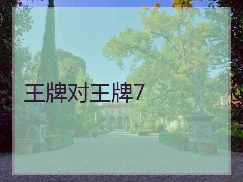 王牌对王牌7
