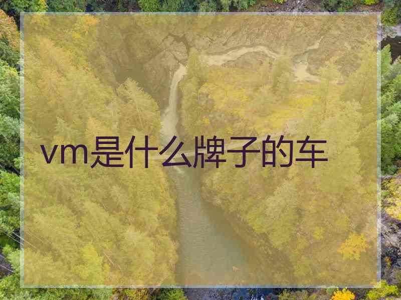 vm是什么牌子的车