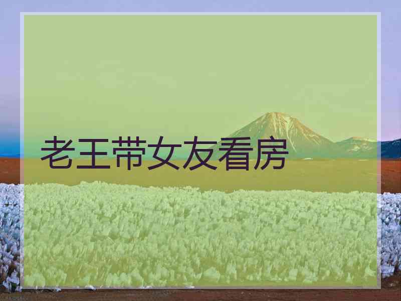 老王带女友看房