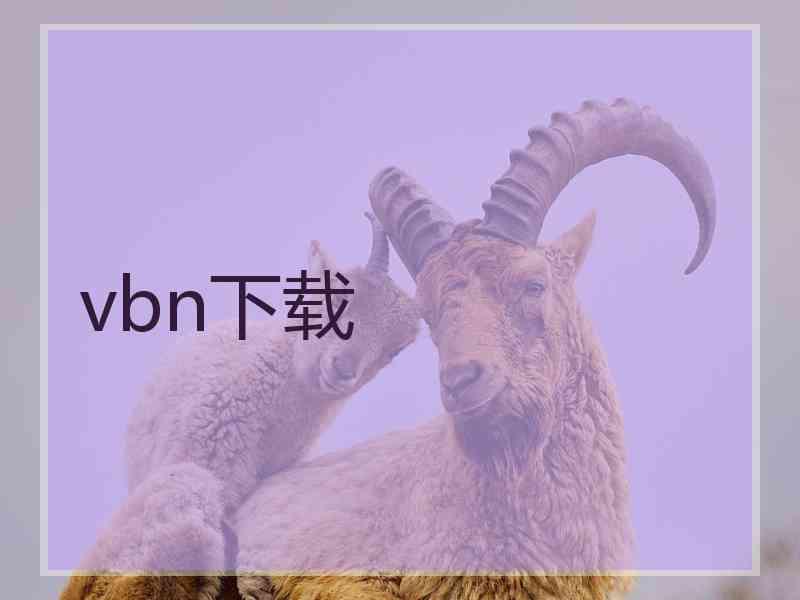 vbn下载