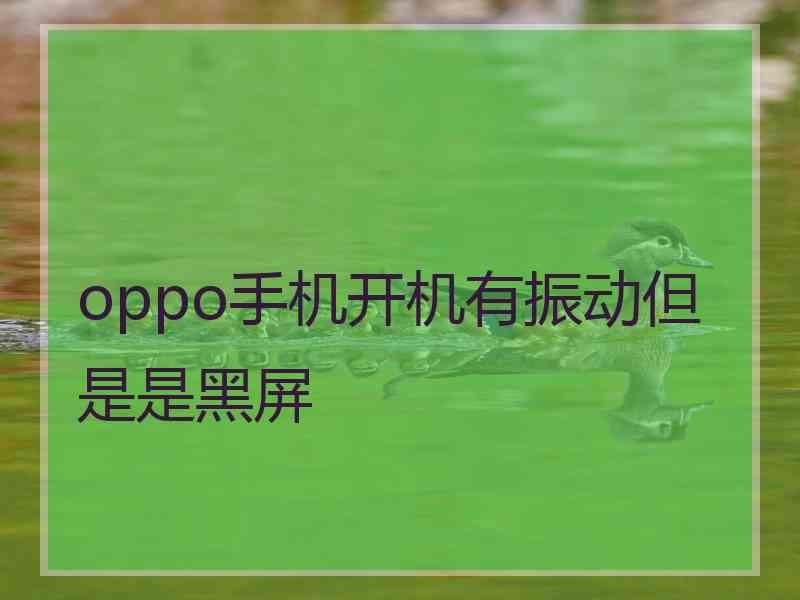 oppo手机开机有振动但是是黑屏