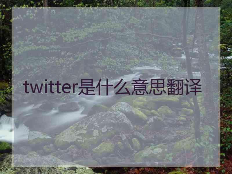 twitter是什么意思翻译