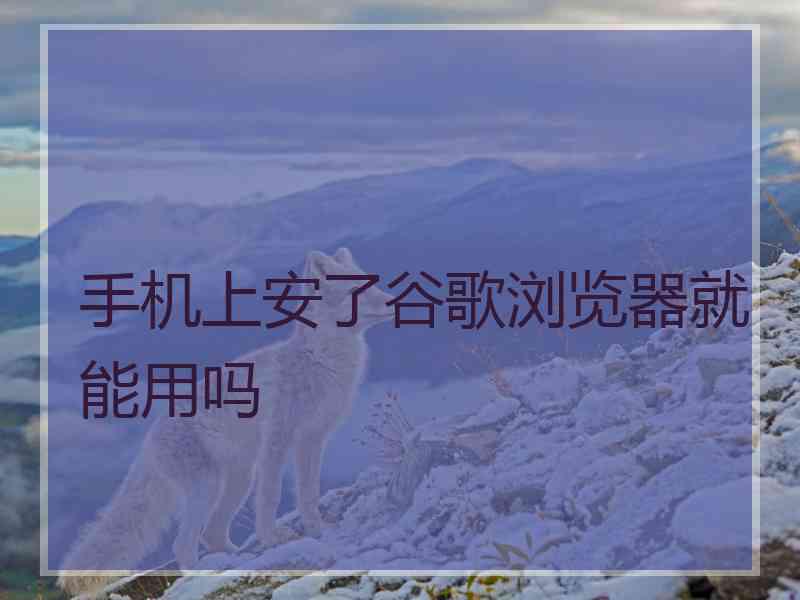 手机上安了谷歌浏览器就能用吗