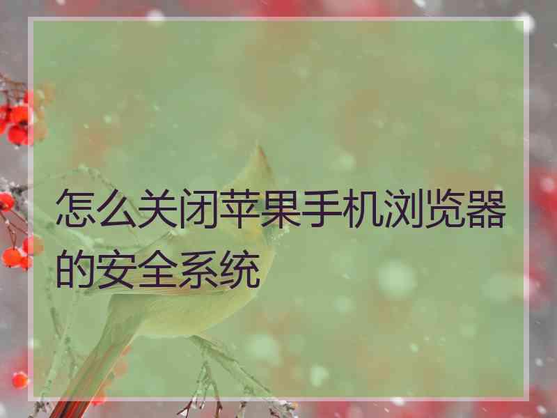 怎么关闭苹果手机浏览器的安全系统