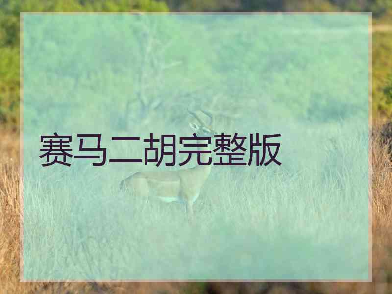赛马二胡完整版