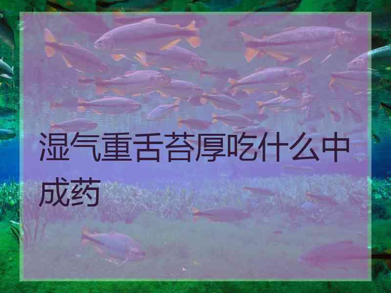 湿气重舌苔厚吃什么中成药