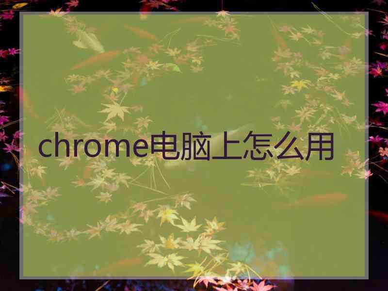 chrome电脑上怎么用