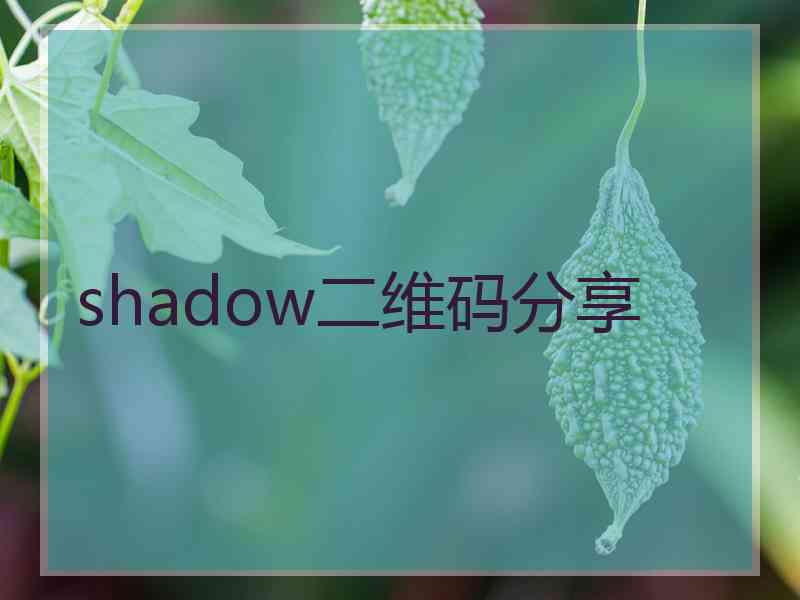 shadow二维码分享