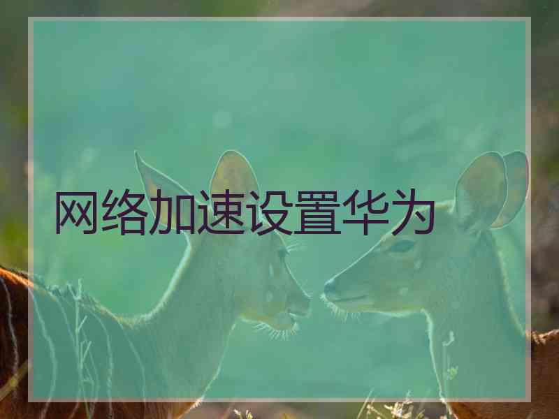 网络加速设置华为