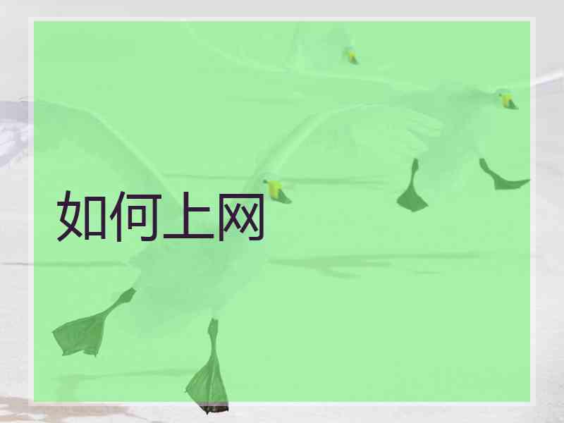 如何上网