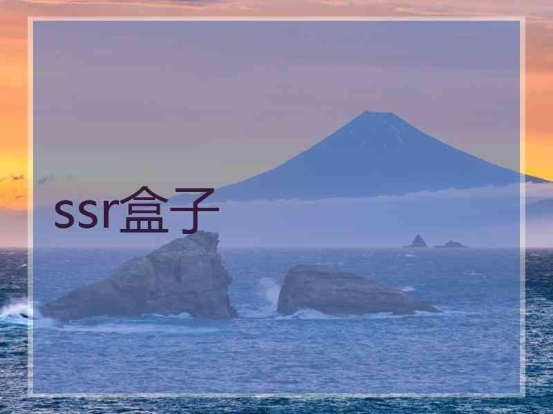 ssr盒子