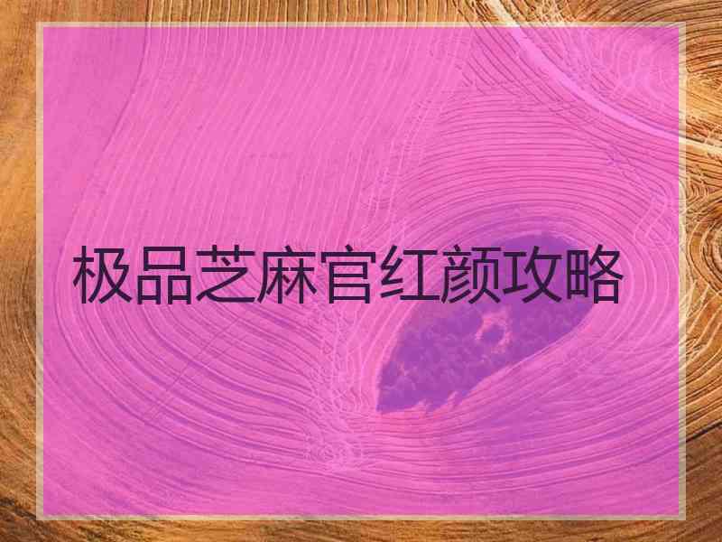 极品芝麻官红颜攻略