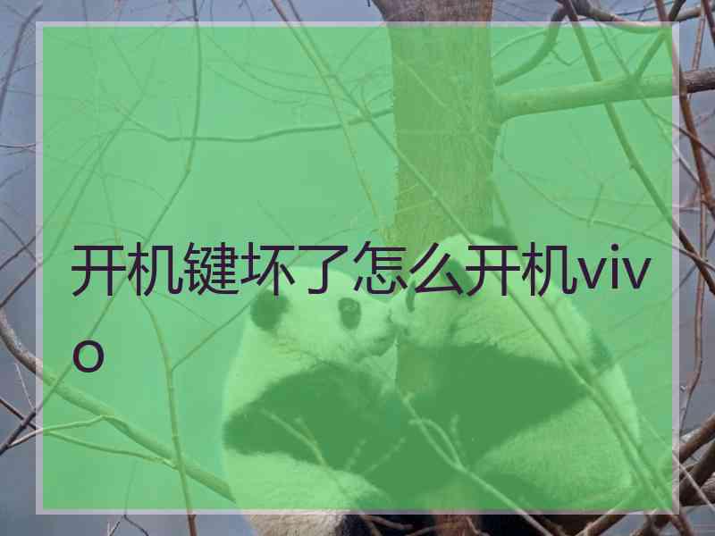 开机键坏了怎么开机vivo
