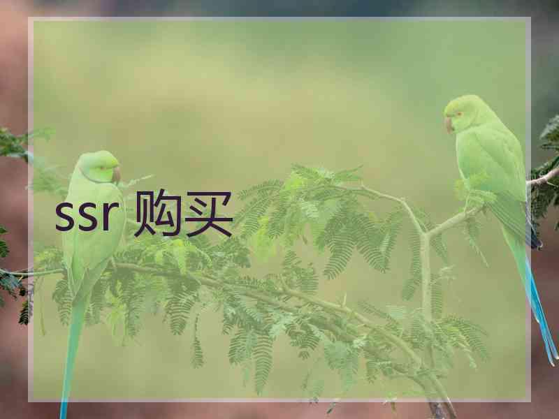 ssr 购买