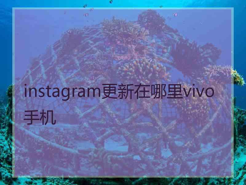 instagram更新在哪里vivo手机