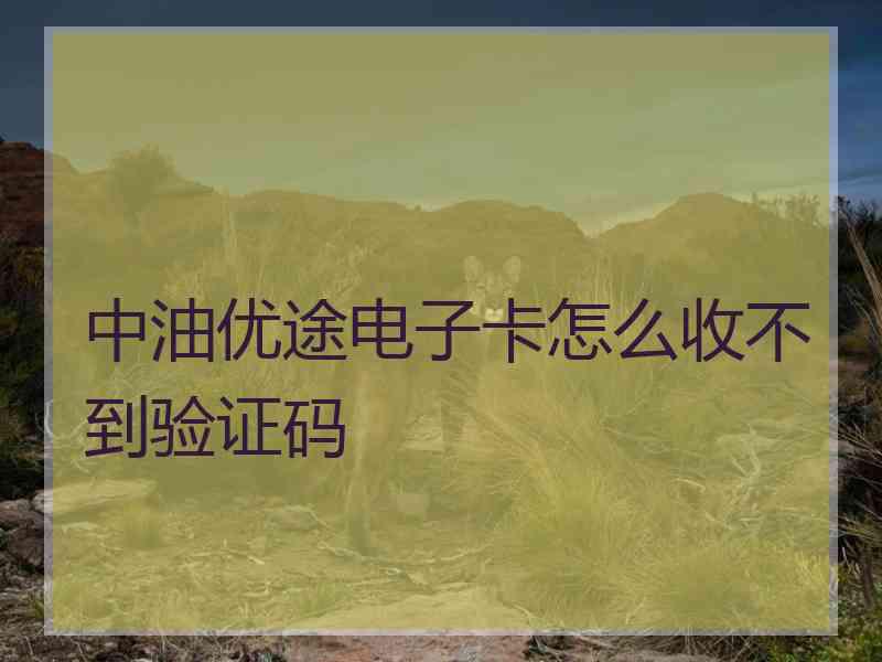 中油优途电子卡怎么收不到验证码