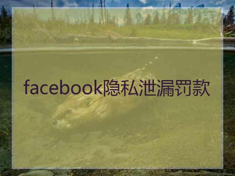 facebook隐私泄漏罚款