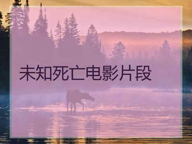 未知死亡电影片段