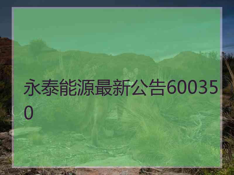 永泰能源最新公告600350